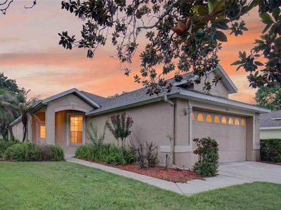 1005 SAINT IVES COURT, Mount Dora, FL, 32757