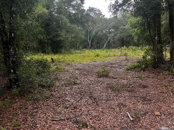 Citadel Dr Lot 2, Webster, FL 33597