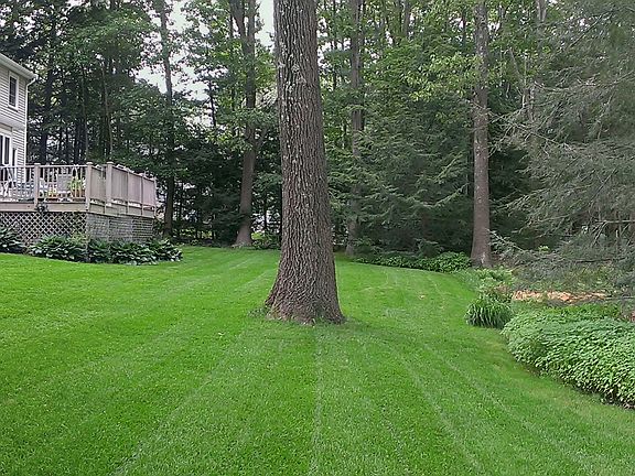 2nd image of 40 Langdale Dr