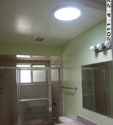 Hall bathroom w skylight