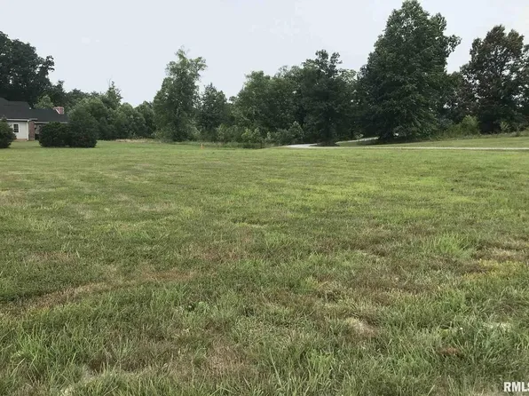 12194 Blue Sky Dr, Marion, IL 62959