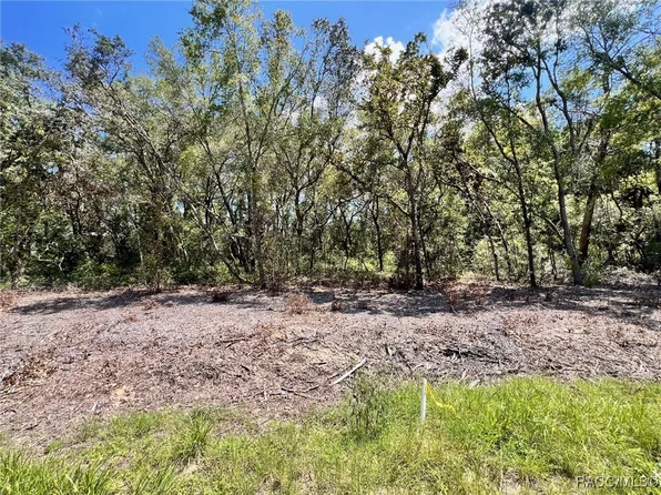 2408 Clearwood St, Inverness, FL 34452