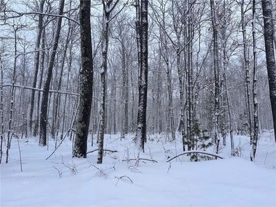 Lot 4 Scarlet Tanager Lane, Hayward, WI, 54843