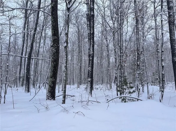 Lot 4 Scarlet Tanager Lane, Hayward, WI 54843