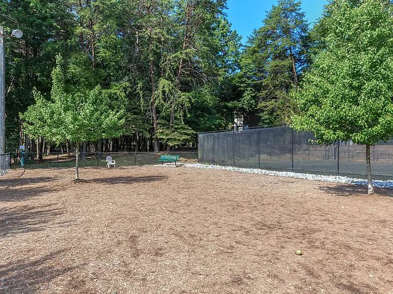 Spacious Dog Park with Benches and Surrounding Greenery