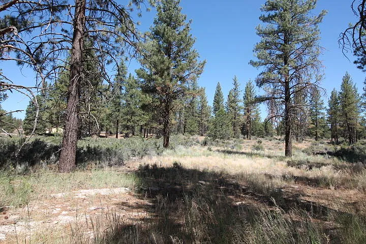 24819 Moccasin Ln photo 1