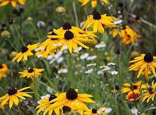 941 Log Cabin Rd, Milford, DE 19963