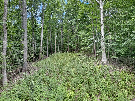 4th image of 737 Lee Hollow Rd