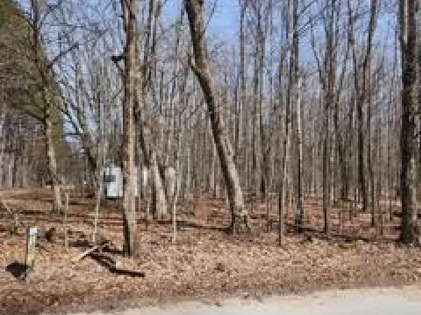 S Socia Rd, Drummond Island, MI 49726