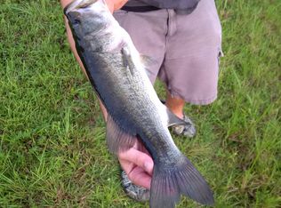 9331 Lake Marion Creek Rd, Haines City, FL 33844