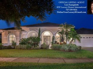 2098 Diamond Ct, Oldsmar, FL 34677