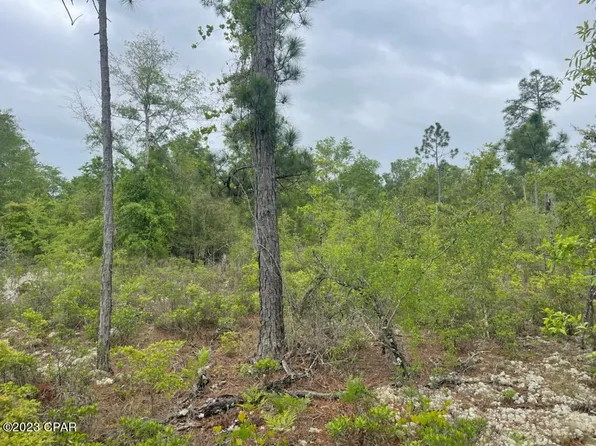 0 Freeman Rd, Alford, FL 32420