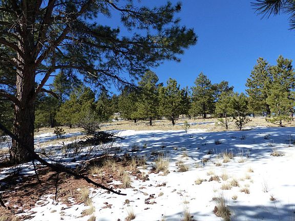5th image of 285 Matterhorn Cir N