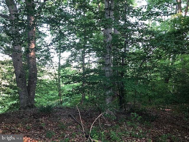 2nd image of Washington Mill Rd
