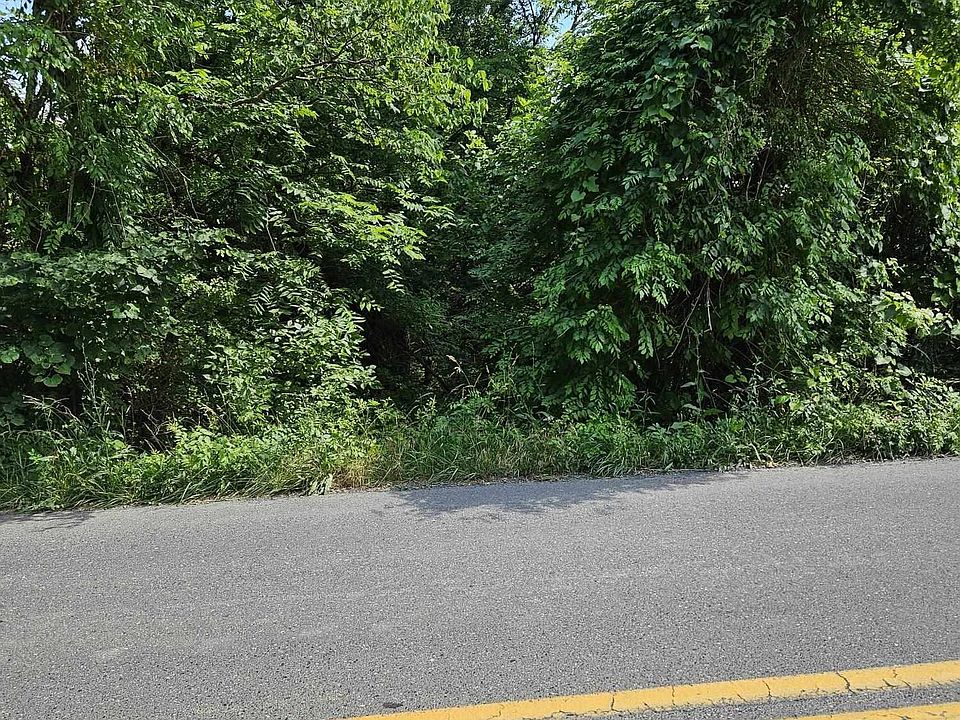 2nd image of Mossy Creek Rd