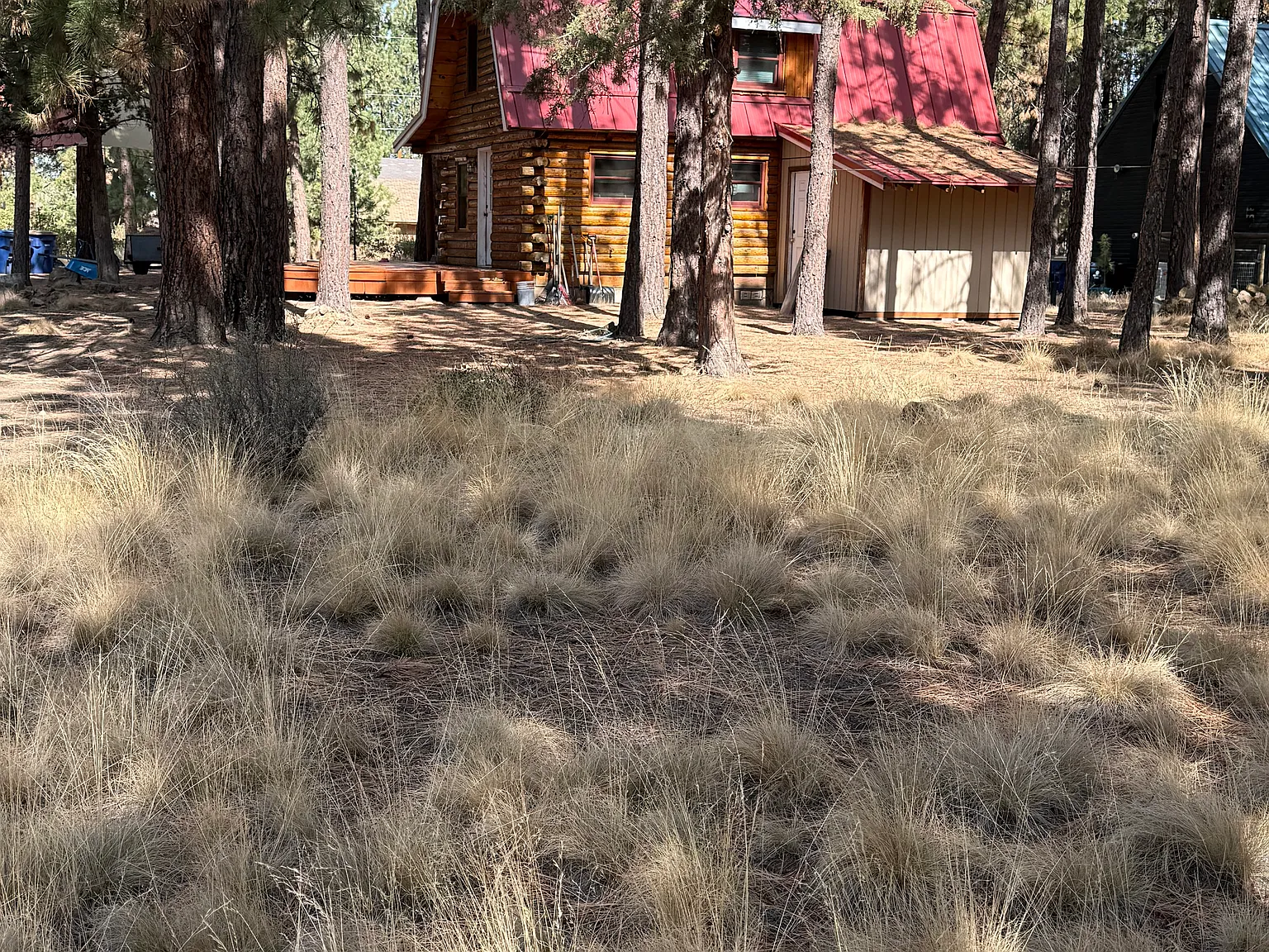 1 bed, 896 sqft, $1,800 — Photo 3