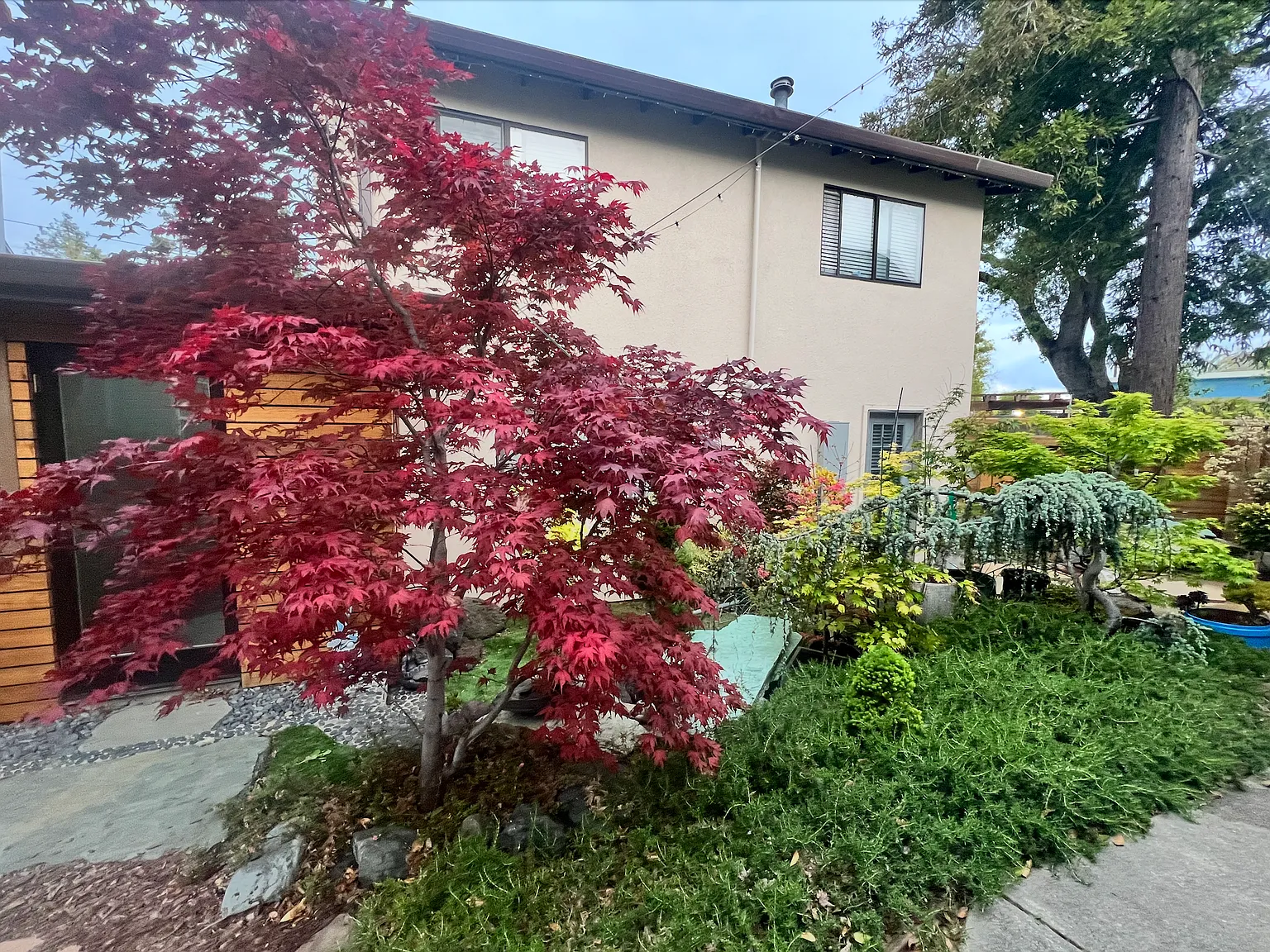 5 bed, 1426 sqft, $1,195 — Photo 4