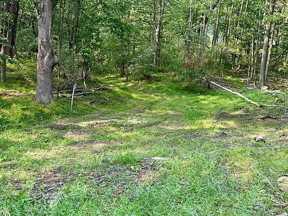2nd image of W River Rd