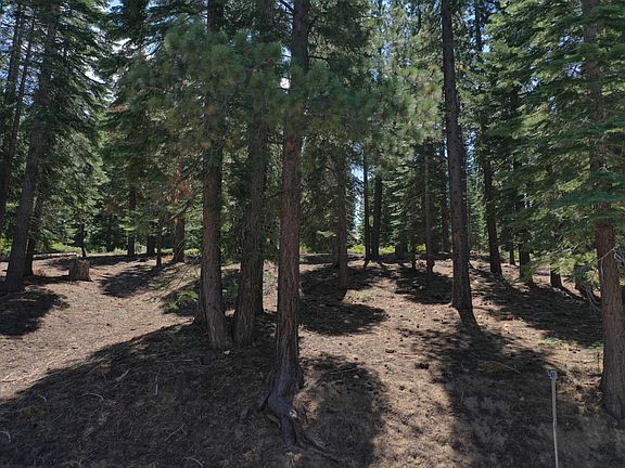 3rd image of 847 Kiowa Dr
