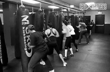 Rented by Citi Habitats