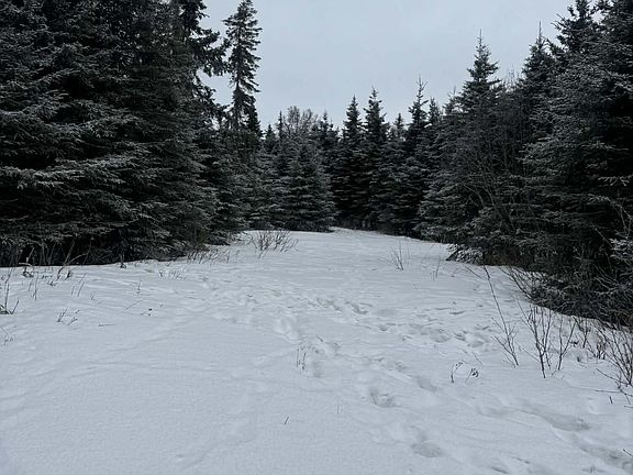 5th image of 2815 Iliamna Rd