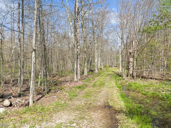 17990 Snyder Rd, Chagrin Falls, OH 44023