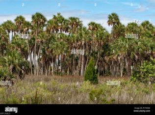 1143 20th AVE NE, NAPLES, FL 34120