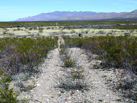 4th image of 4.28 Acres Rand Place #35