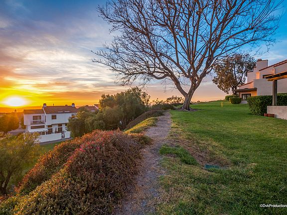 Panoramic Views