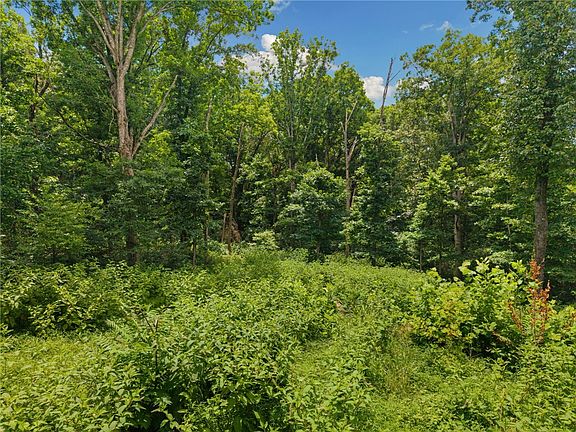 3rd image of Hodge Ln