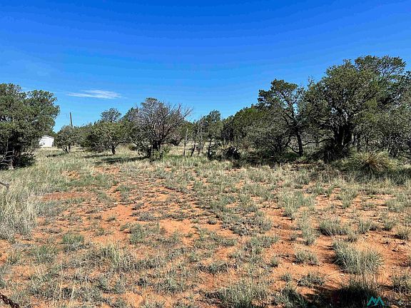 3rd image of 66 Turkey Canyon Rd