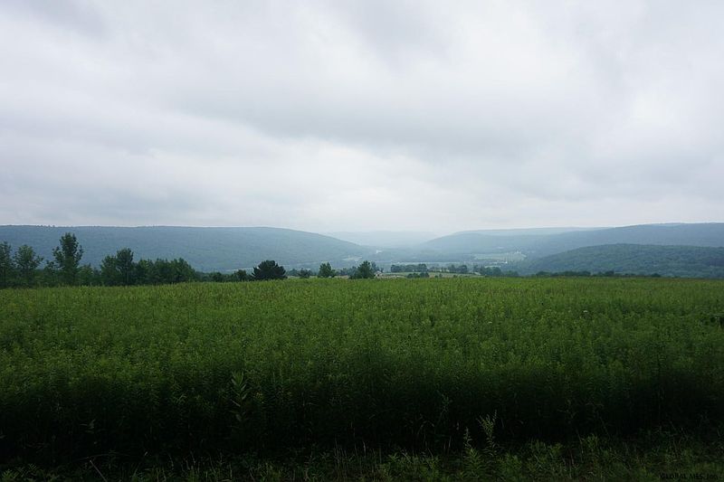 2nd image of HAWKINS Road