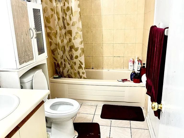 54 Fallen Oak Ct #BASEMENT — Photo 5