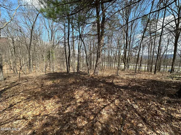 Rice Rd, Warfordsburg, PA 17267