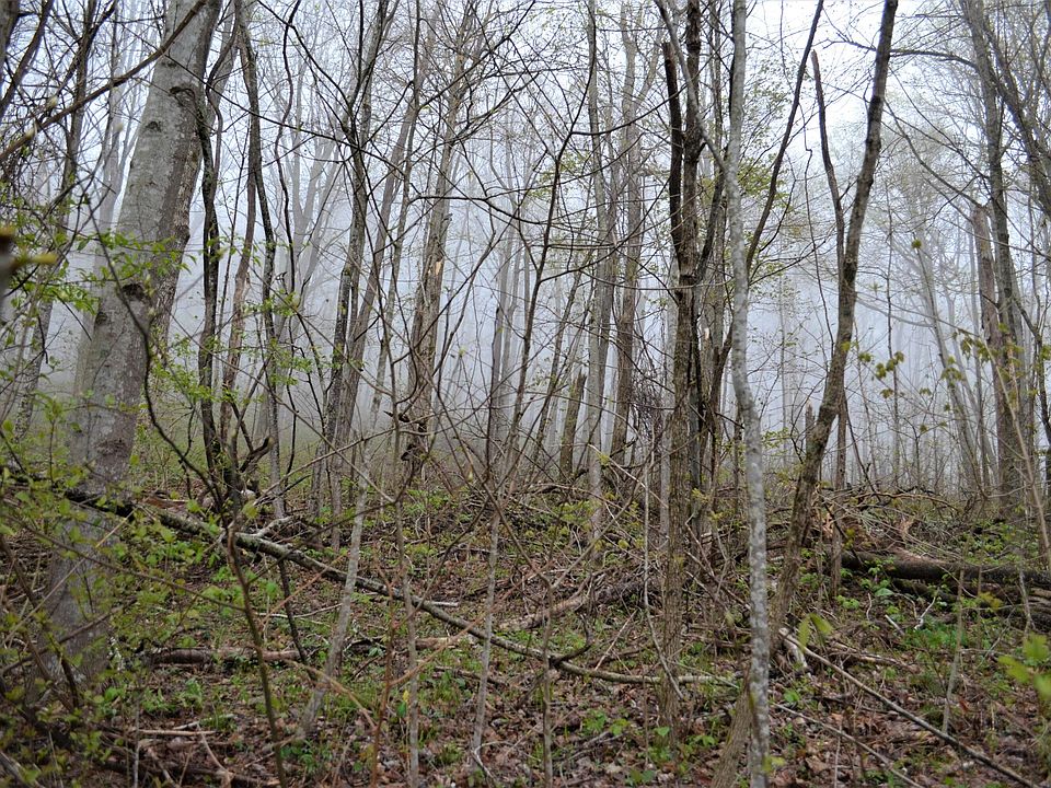2nd image of LOT-46B Dunlukin Dr Unit 46B