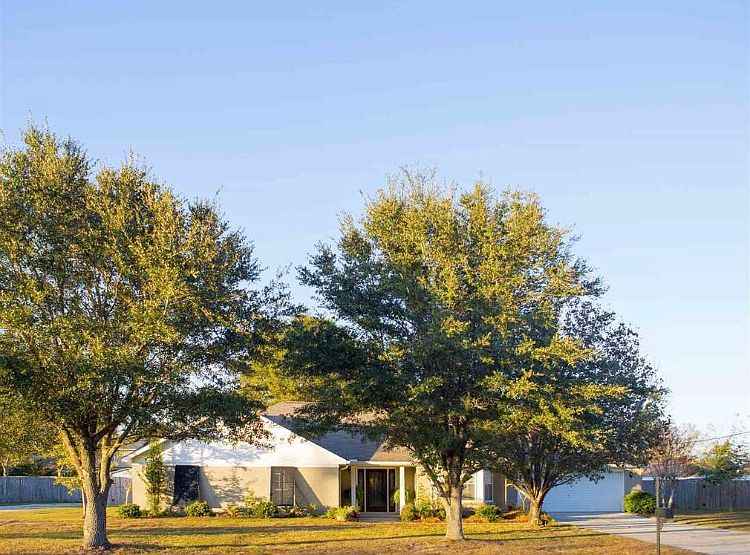 Front of house