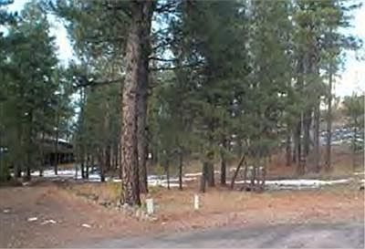 2nd image of 17390 S Shadow Rock Pl