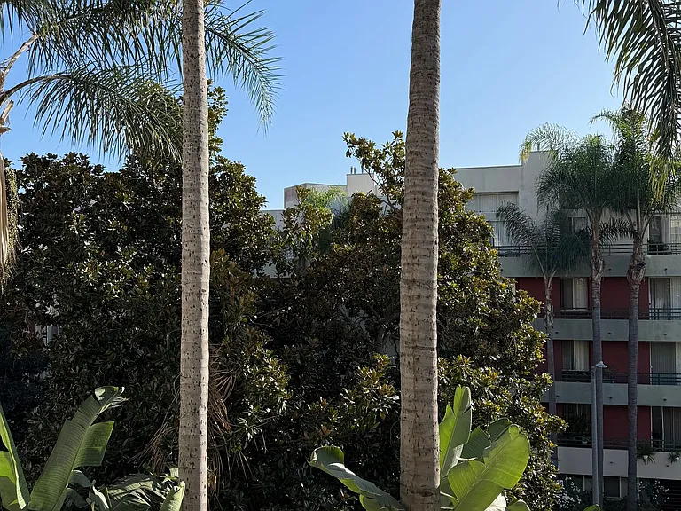 **Prime Location | Clean & a Great Value Well-Appointed Apartments with Private Balcony** — Photo 11