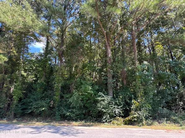 Near 90 Honey Hill Drive LOT 33,34,35, Hallsboro, NC 28442
