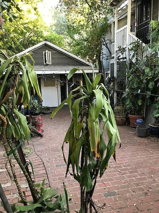 1st image of 12842 Milbank St #12844