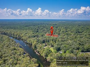 LOT 79 Mysterious Waters Rd, Crawfordville, FL 32327