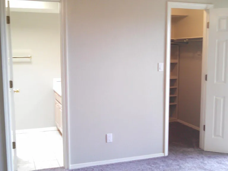 Master bedroom view of attached bathroom and walk-in closet