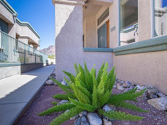 Front yard