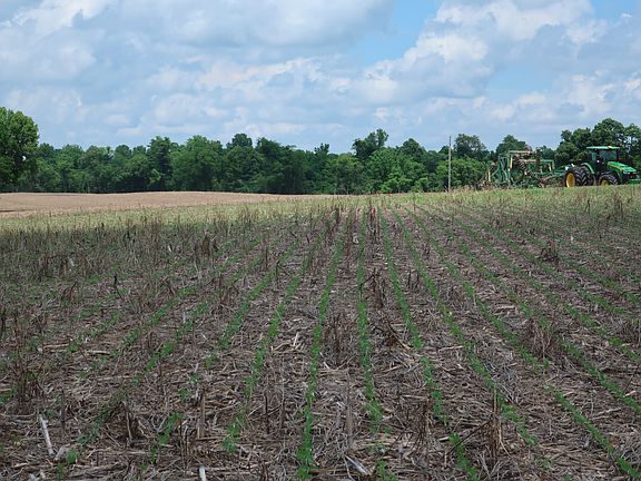 5th image of 45 County Road 1309