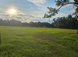 15821 141st Rd, Mc Alpin, FL 32062