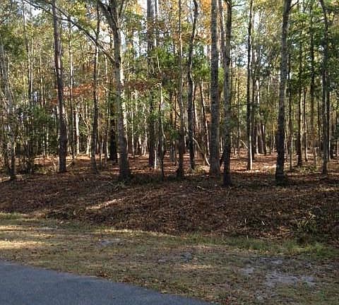 4th image of Lot 21-B Capt Beam Boulevard