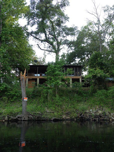 View from the Suwannee