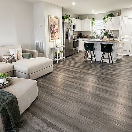 2nd image of 850 Speakeasy Ln