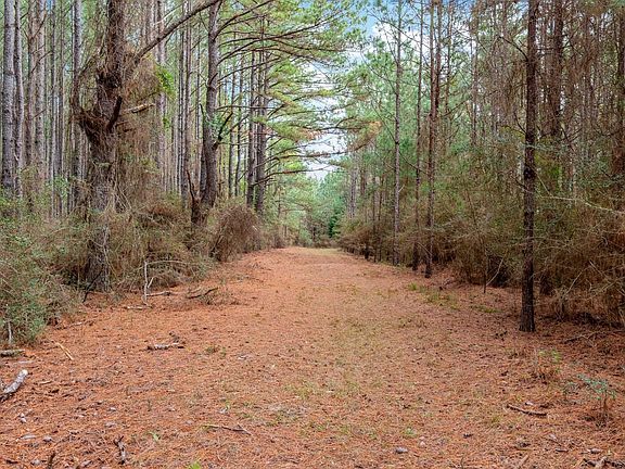 4th image of 81 Acres Union Rd