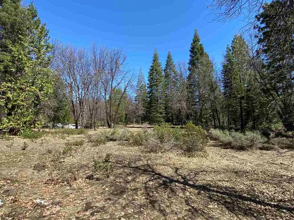 1-A-21 Mount Shasta Dr, McCloud, CA 96057